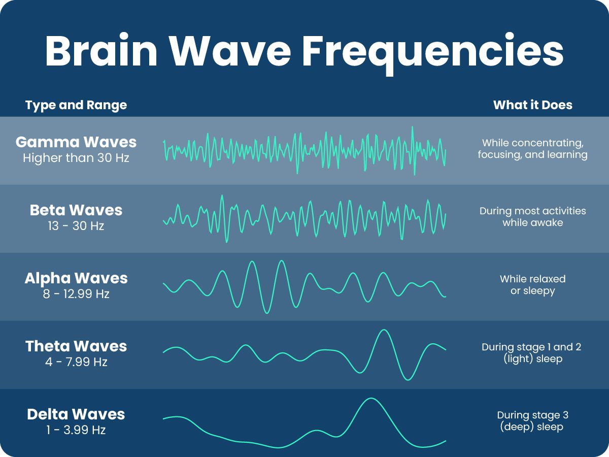 Brain Waves