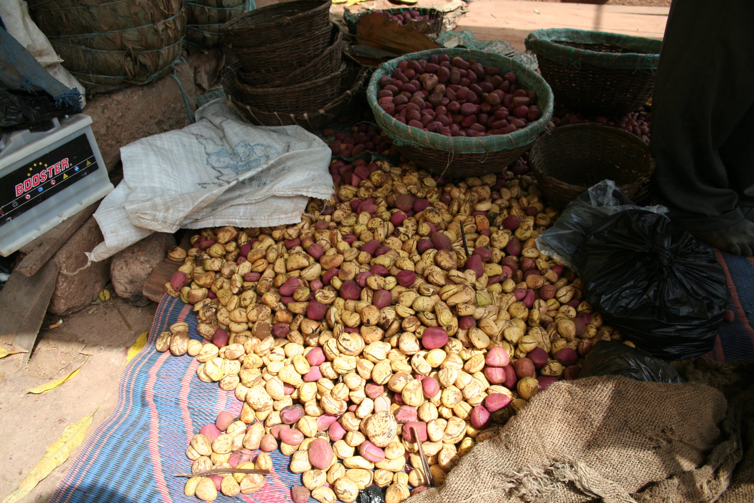 Kola nuts