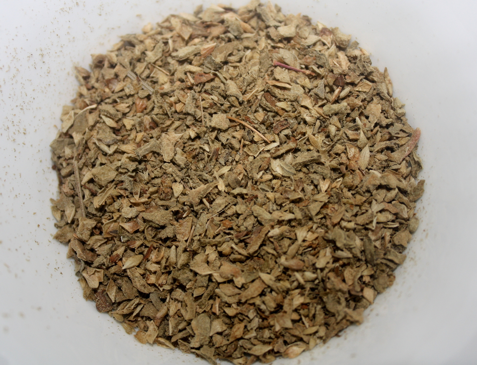 Oregano